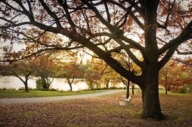 Image result for warm day"